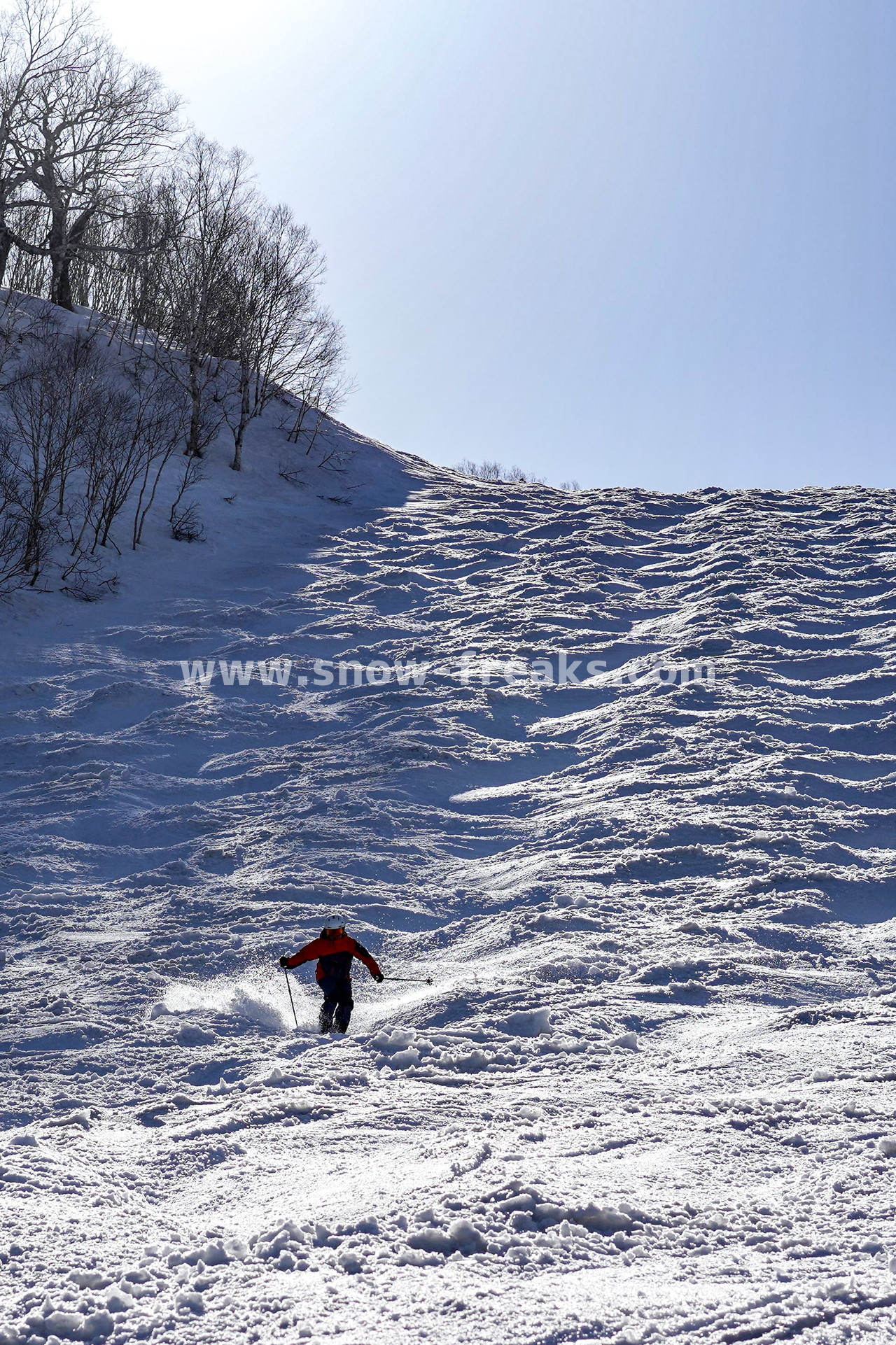 札幌国際スキー場 Mt.石井スポーツ ISHII SKI ACADEMY 校長・斉藤人之さんによる『斉藤塾』開講。本日のテーマは、「春雪！コブからスキーのたわみを楽しむ！！」(^^)v